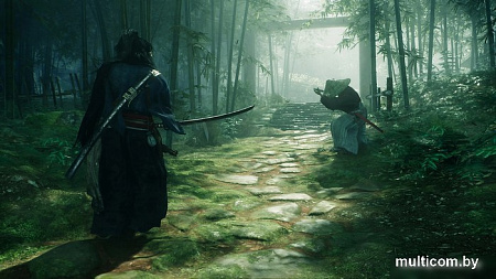 Rise Of The Ronin для PlayStation 5