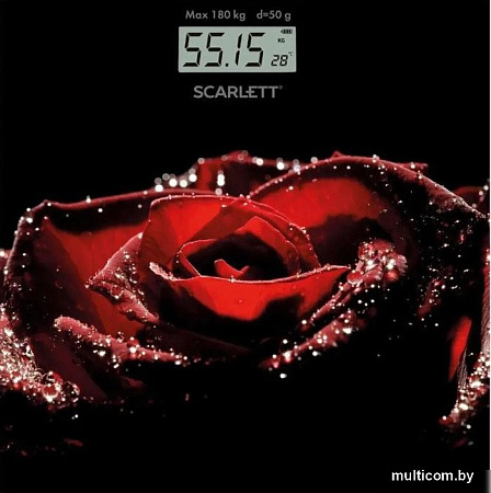 Напольные весы Scarlett SC-BS33E028