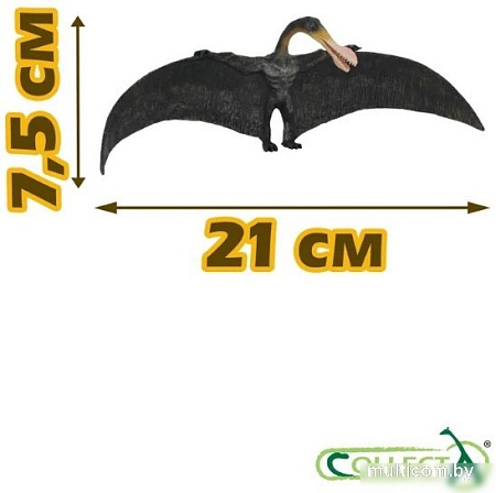 Collecta Птерозавр Орнитохейрус 88511b