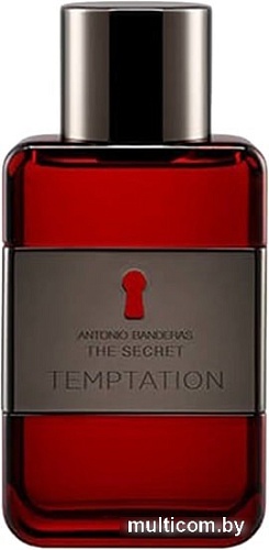 Antonio Banderas The Secret Temptation for men EdT (50 мл)