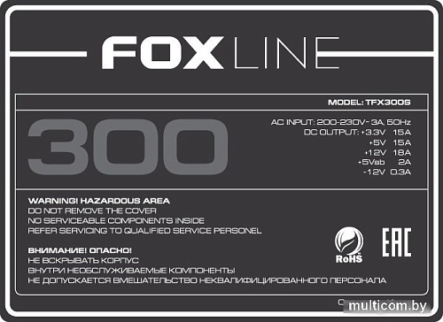 Корпус Foxline FL-1001 FL-1001-TFX300S