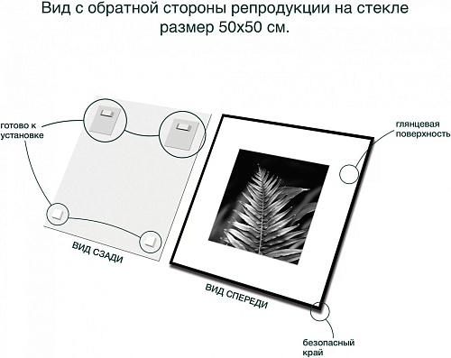 Картина Stamprint Листья 3 BW009 (50x50)