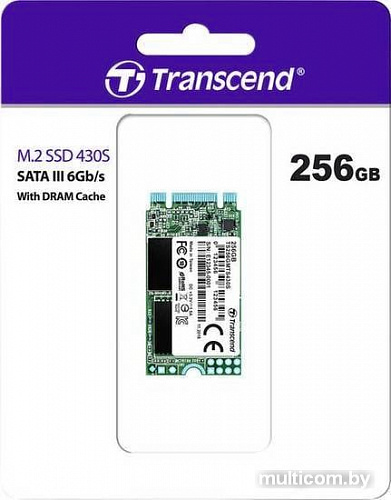 SSD Transcend 430S 256GB TS256GMTS430S