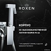 Гигиенический душ Roxen Caspia 500960-B