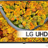 ЖК телевизор LG 43UP75006LF