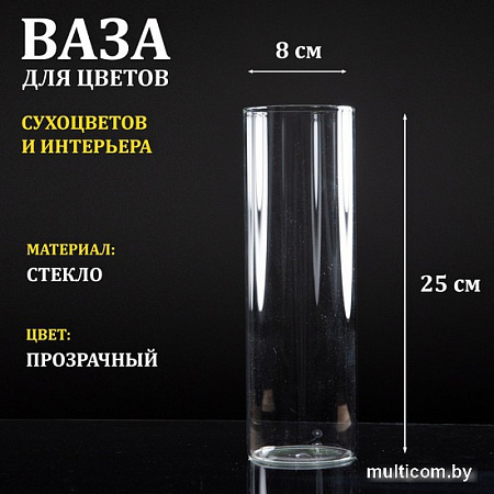 Ваза Элетех Тубо 8x25 4840900076 (прозрачный)