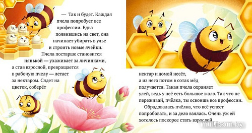 Книга издательства Clever. Любознательный малыш. Приключения букашек (Ульева Е.)