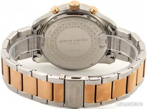Наручные часы Pierre Cardin PC902741F09