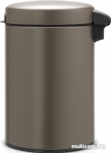 Brabantia NewIcon 3 л (платиновый)