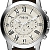 Наручные часы Fossil FS4735