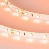 Светодиодная лента Arlight RT-A60-8mm 12V Orange 013568(2)