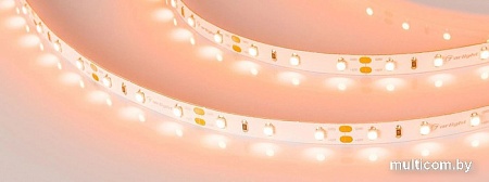 Светодиодная лента Arlight RT-A60-8mm 12V Orange 013568(2)