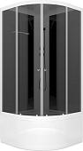 Душевая кабина Domani-Spa Delight Slim 110 High DS01DS110HBT00