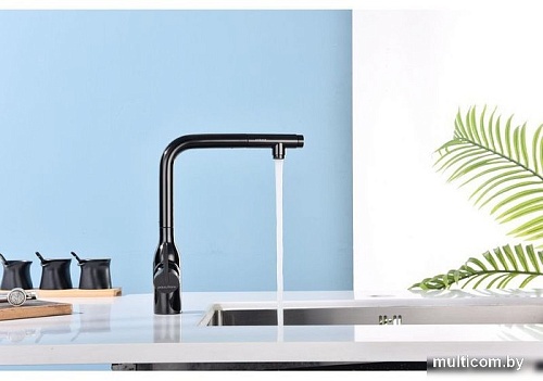 Смеситель Paulmark Viper VI213105-GB (черный/черный глянцевый)