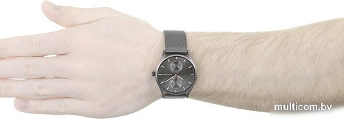 Наручные часы Skagen SKW6180