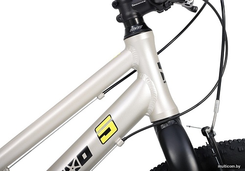 Велосипед Maxiscoo 24 L200 2025 MSC-M5-2414 (серый жемчуг, разобранный)