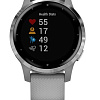 Умные часы Garmin Vivoactive 4s (серый/серебристый)