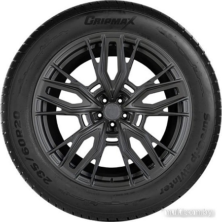 Автомобильные шины Gripmax SureGrip eWinter 255/60R20 113V