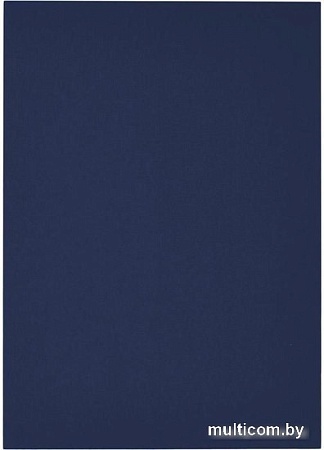 Картонная обложка для переплета ProMega Office А4 250 мкм 254620 (100 шт, лен, синий)
