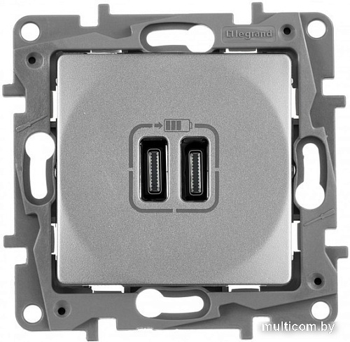 Розетка Type-C Legrand Etika 672435 (алюминий)