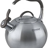 Чайник со свистком Rondell Ball RDS-495