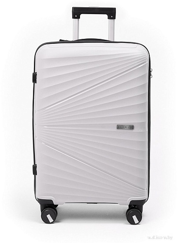 Чемодан-спиннер Pride РР-9702 (S, светло-серый)