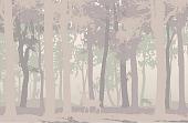 Фотообои Citydecor Magic Forest 8 400x270