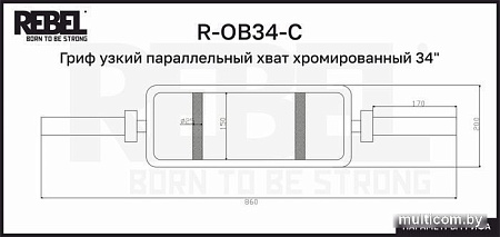 Гриф для штанги Rebel R-OB34-С