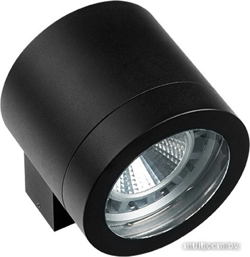 Уличный настенный светильник Lightstar Paro 350617