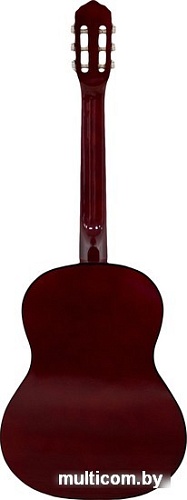 Акустическая гитара Belucci BC3905 SB