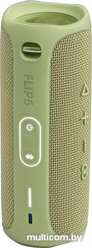 Беспроводная колонка JBL Flip 5 (бирюзовый)