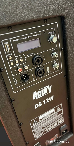 Активная акустика Acury DS12W