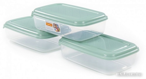 Набор контейнеров Полесье №41 2.7л с крышками 73843 (3 шт, прозрачный/бледно-оливковый)