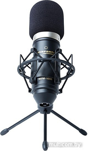 Микрофон Marantz MPM-1000