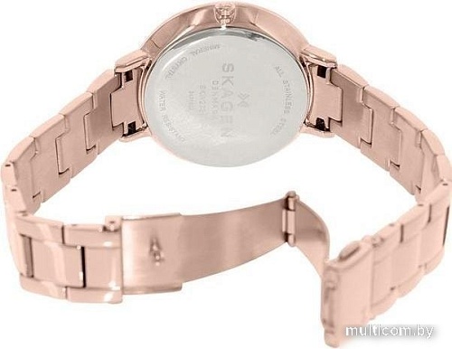 Наручные часы Skagen SKW2331