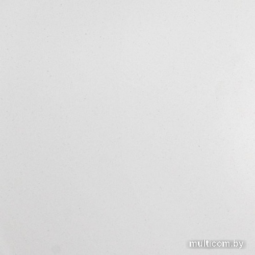 Кухонная мойка Wisent 420-28W (с сифоном GER013)