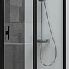 Душевая дверь Allen Brau Priority 3.31012.BBA