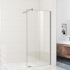 Душевая стенка WeltWasser WW400 120G-1