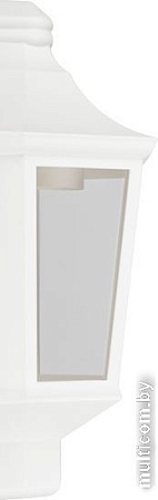 Уличный настенный светильник ЭРА НБУ 06-60-003 Ника Б0061161