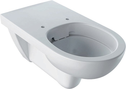 Унитаз Geberit Selnova Comfort 500.262.01.1