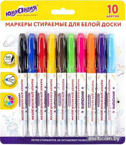 Набор маркеров Юнландия Colorway 152100 (10 шт)