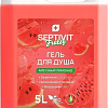 Septivit Гель для душа Frutsy Арбузный лимонад 5 л