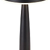 Настольная лампа Kinklight Снорк 07064-B,19