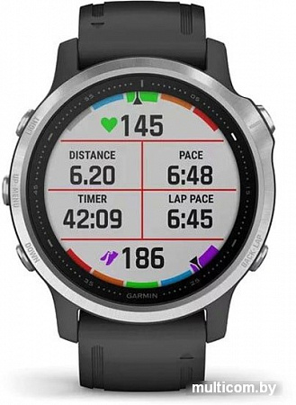 Умные часы Garmin Fenix 6s (серебристый/черный)