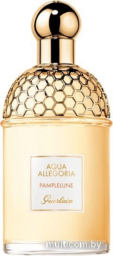 Guerlain Aqua Allegoria Pamplelune EdT (75 мл)