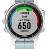 Умные часы Garmin Fenix 5S Plus (белый/голубой)