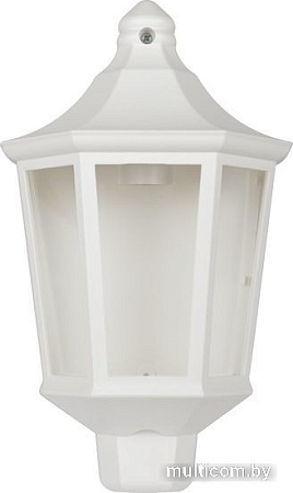 Уличный настенный светильник ЭРА НБУ 06-60-003 Ника Б0061161