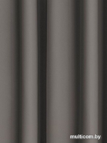 Комплект штор Pasionaria Блэквуд 280x260 (темно-серый)