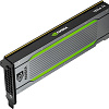 Видеокарта PNY NVIDIA Tesla T4 16GB GDDR6 RTCST4MATX-PB