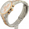 Наручные часы Pierre Cardin PC902741F09